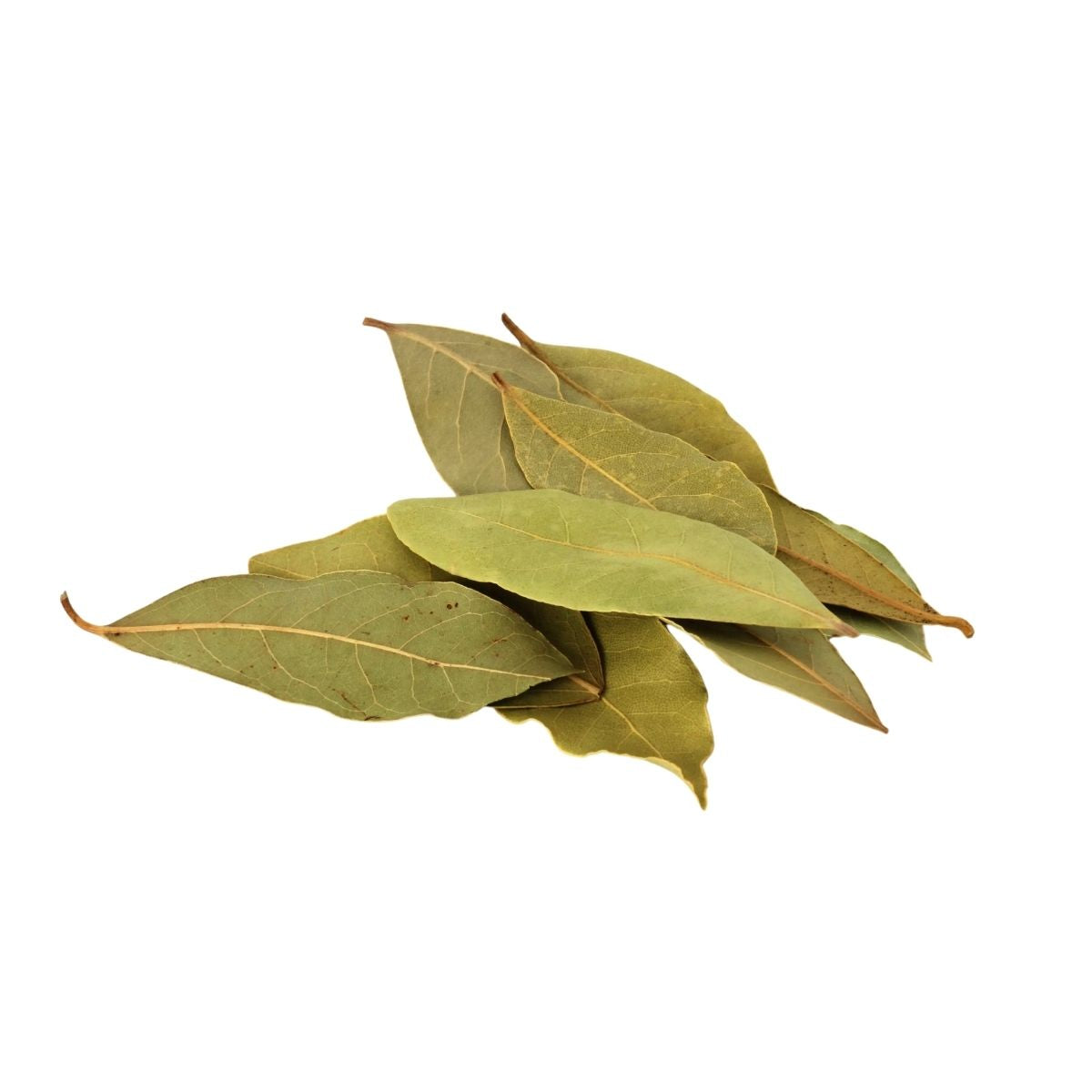 Bay Leaves | 100 gm