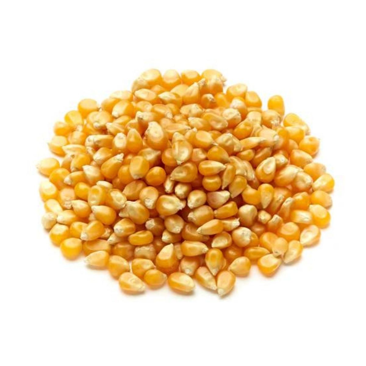 Butterfly Popcorn | 1 Kg