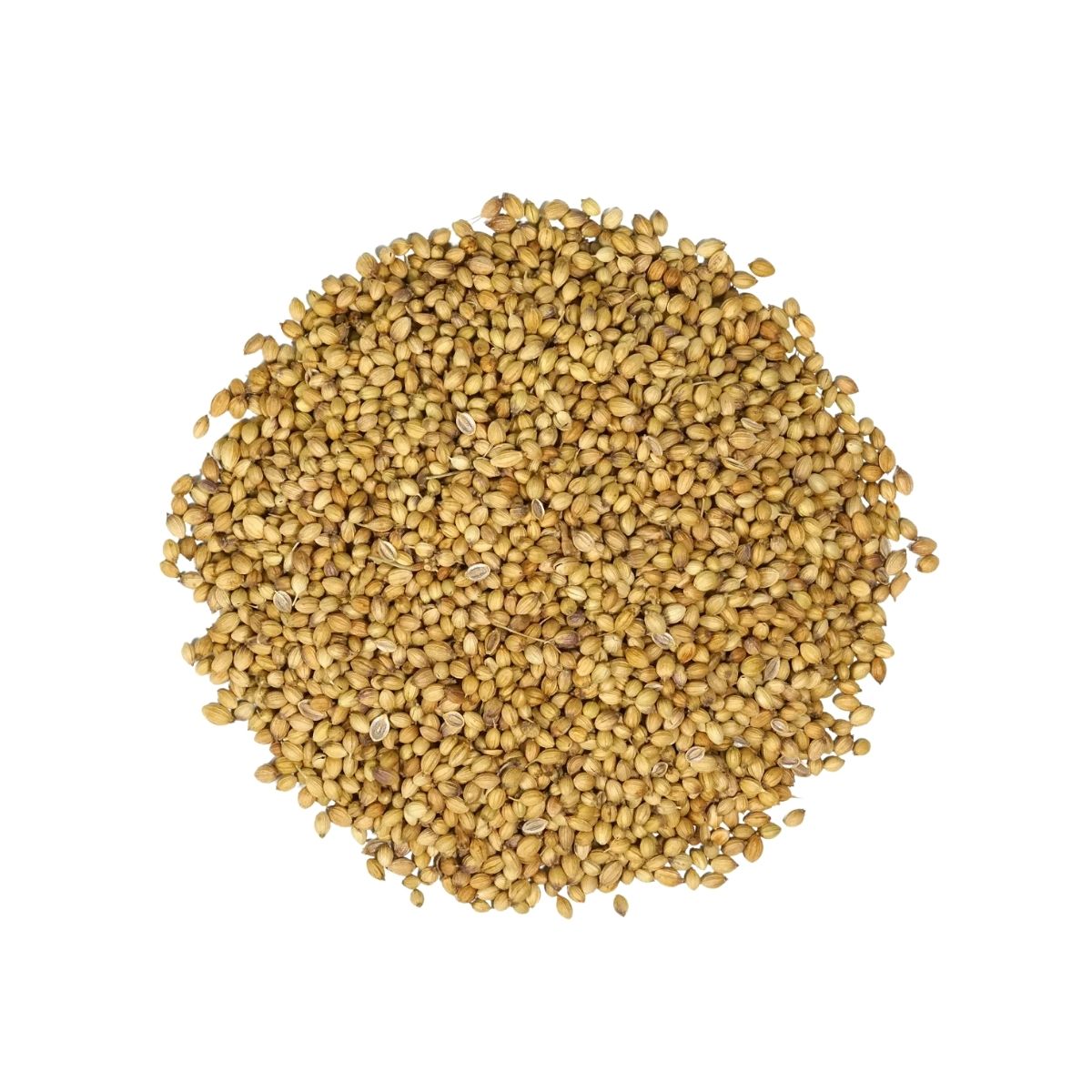 Coriander Seeds | 10 Kg