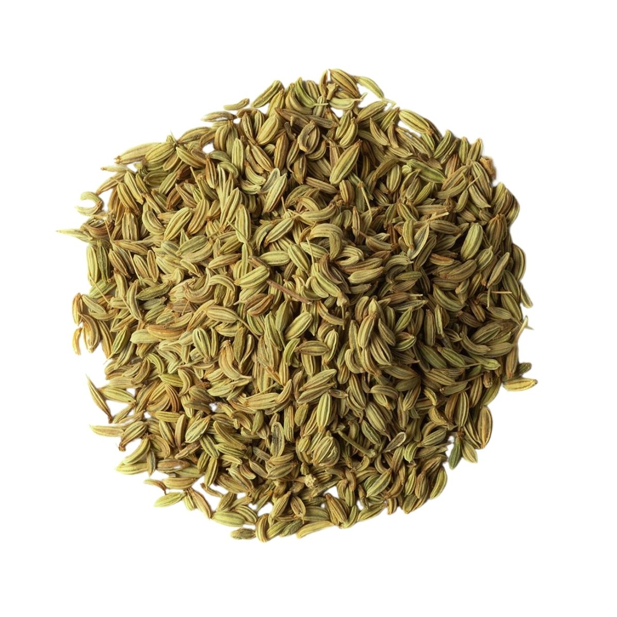 Fennel Seeds | 5 Kg