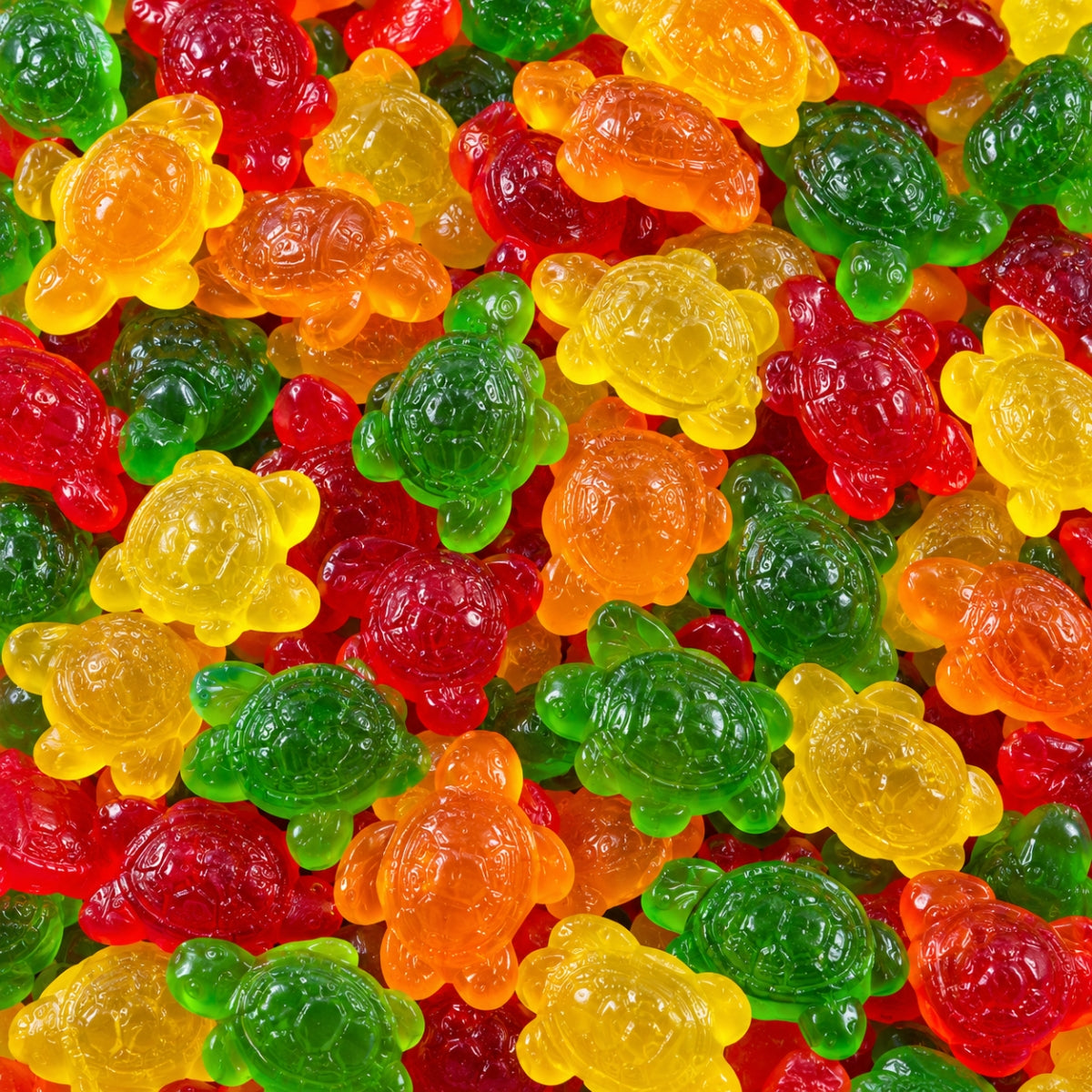 Jelly Turtles | 2 Kg