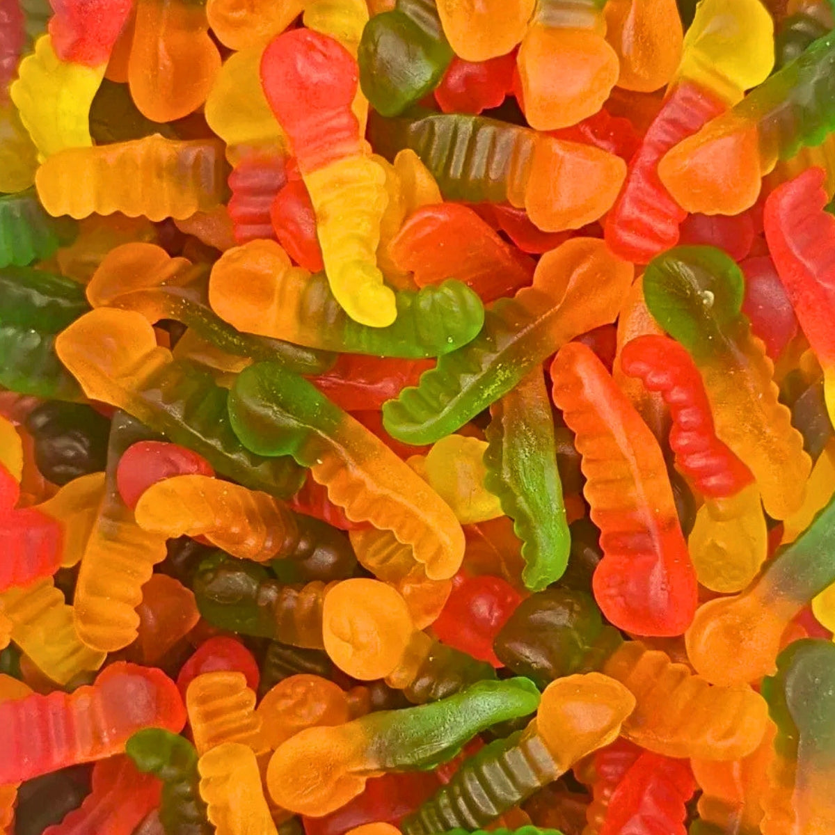 Jelly Worms | 12 Kg