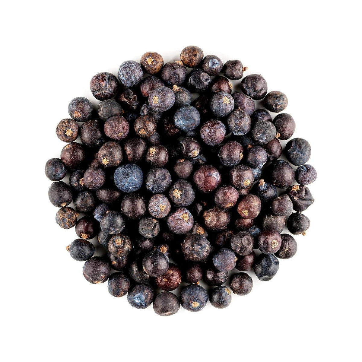 Juniper Berries Dried Whole | 100 gm