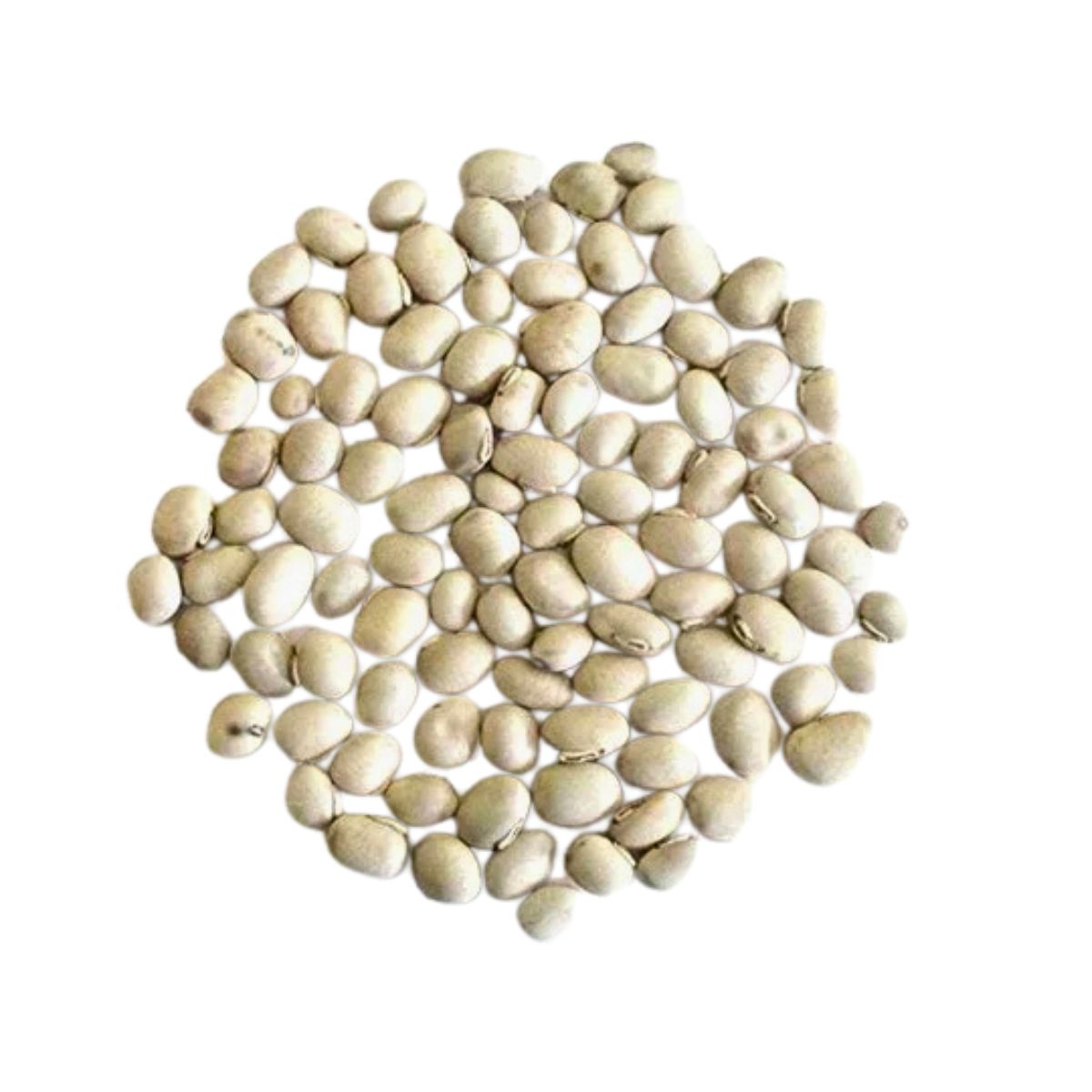 Kaunch Beej Seed | 1 Kg