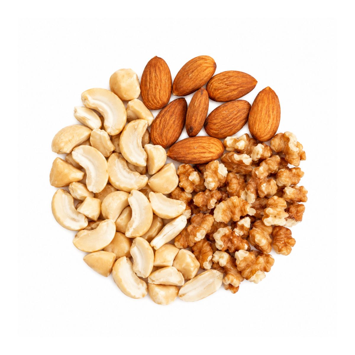 Mix Nuts (Raw) | 10 Kg