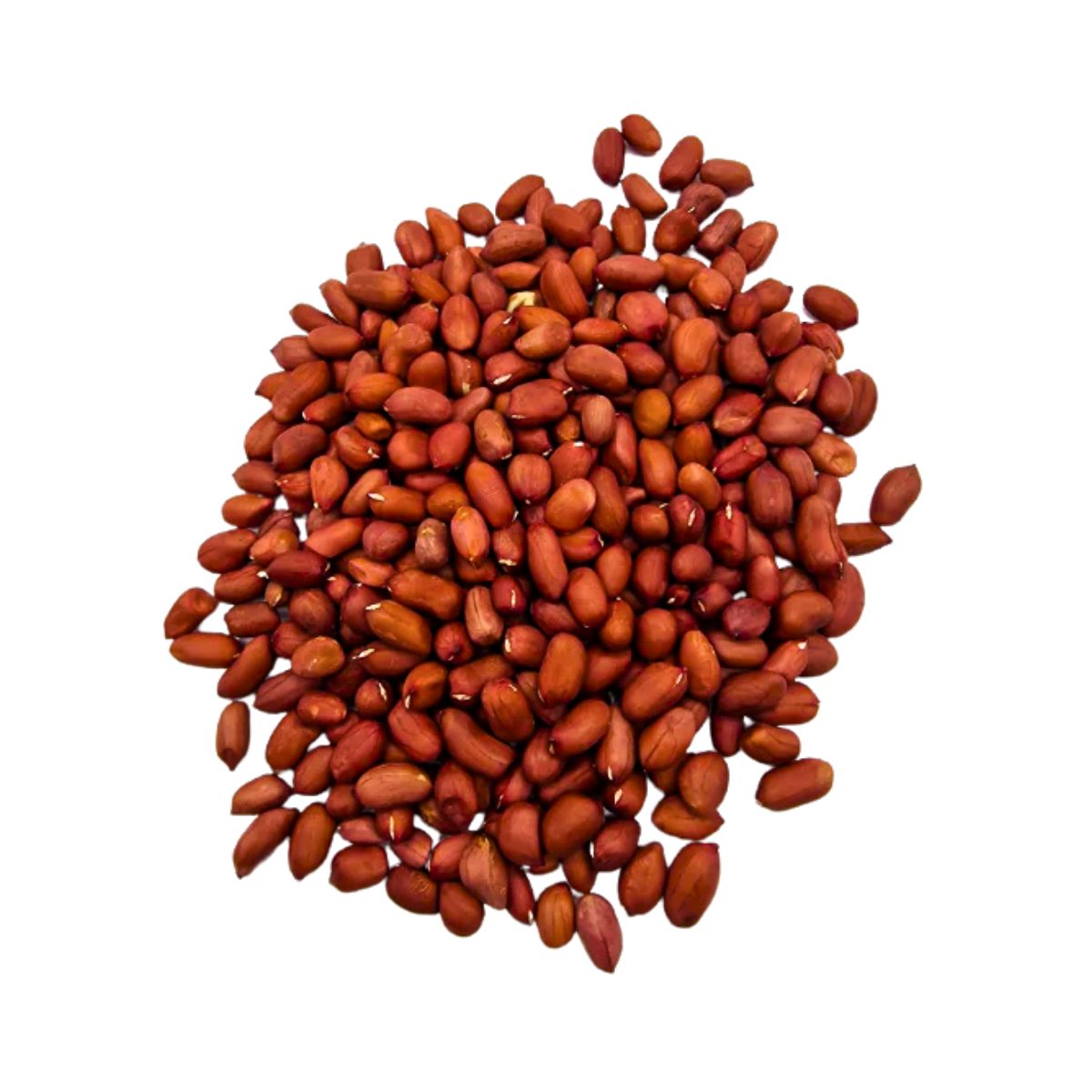 Red Peanuts | 10 Kg