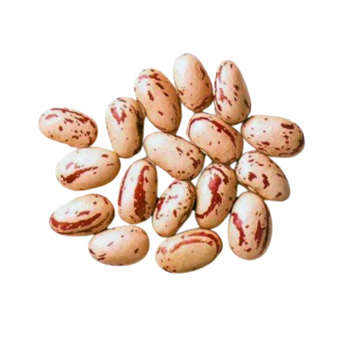 Rosecoco Beans | 2 Kg