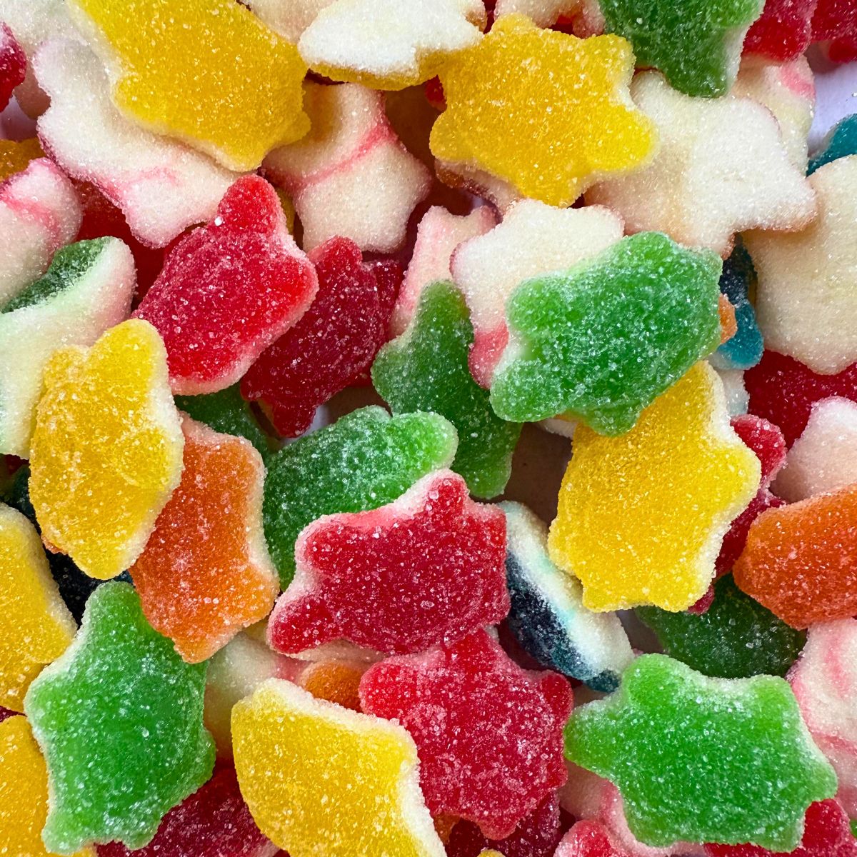 Sour Turtles | 12 Kg