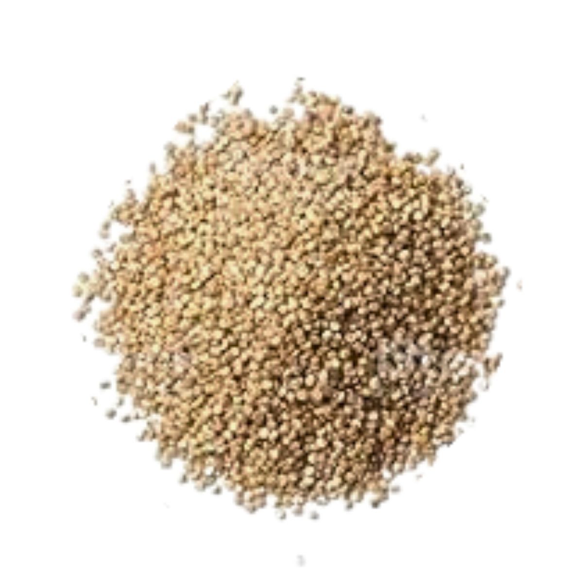 White Quinoa | 1 Kg