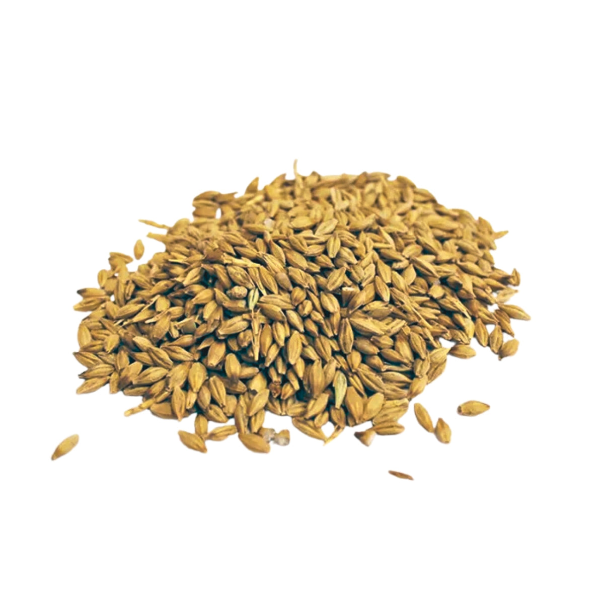 Whole Barley | 1 Kg