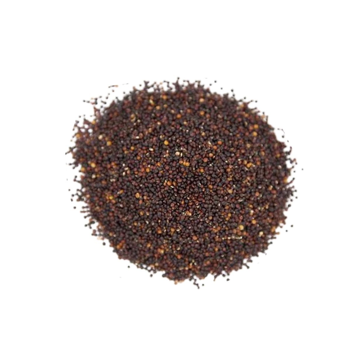 Black Quinoa | 10 Kg