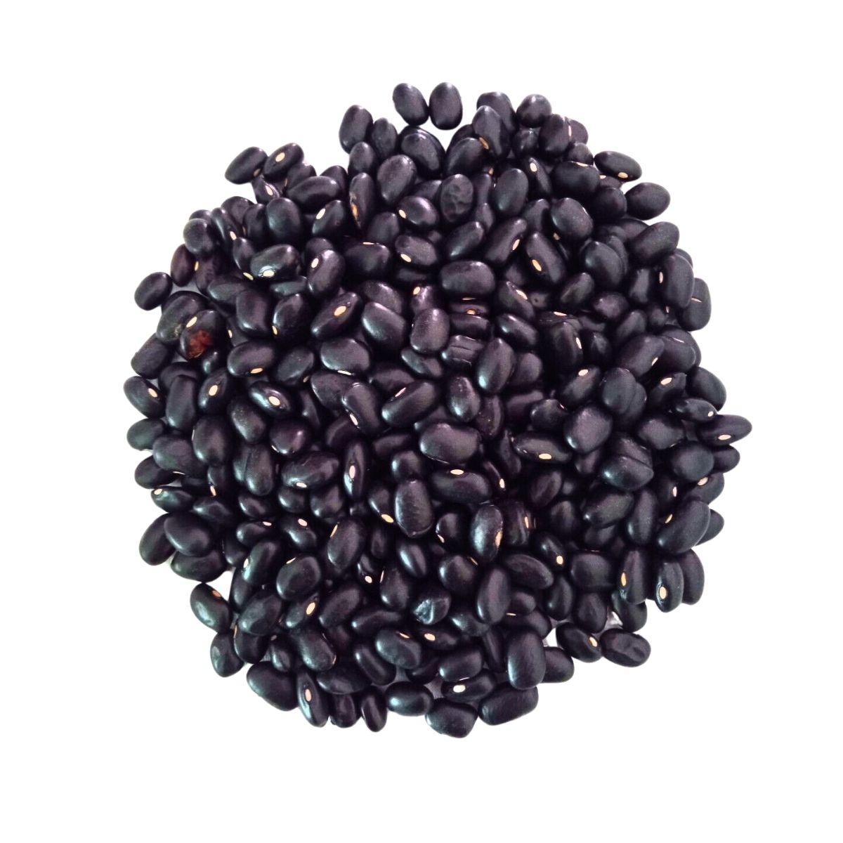 Black Turtle Beans | 1 Kg