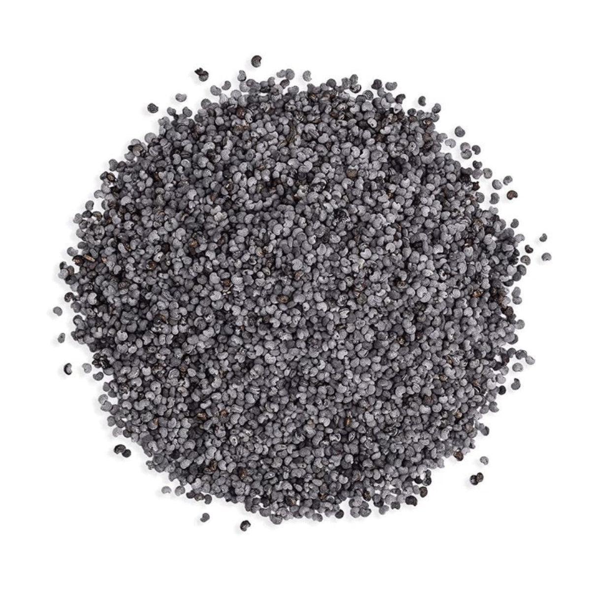 Blue Poppy Seeds | 1kg