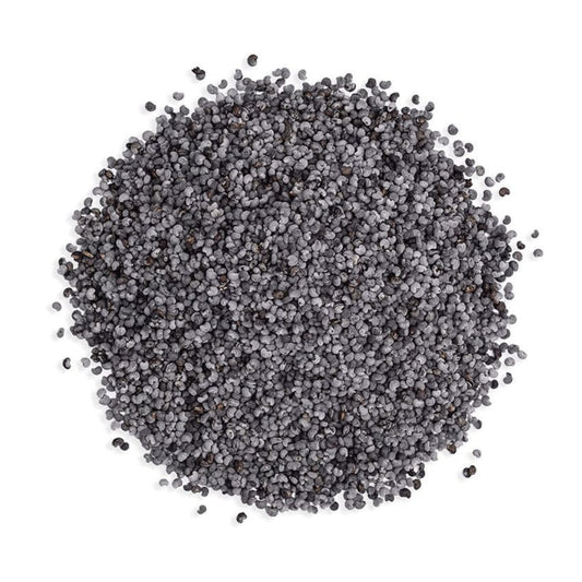 Blue Poppy Seeds | 10kg