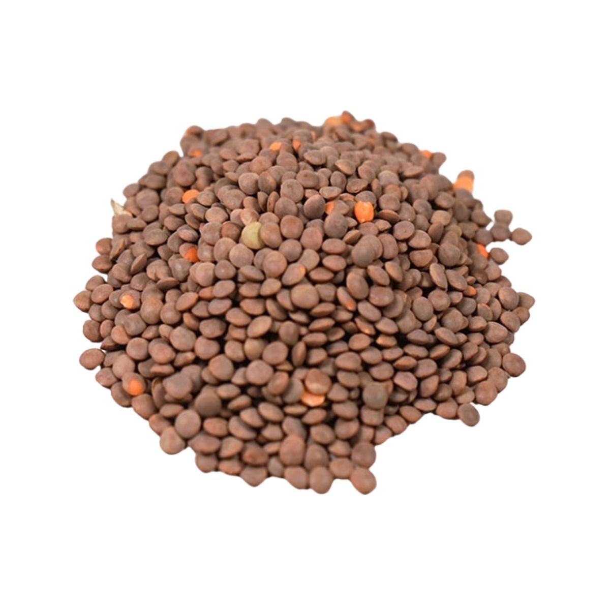 Brown Lentils | 2 Kg