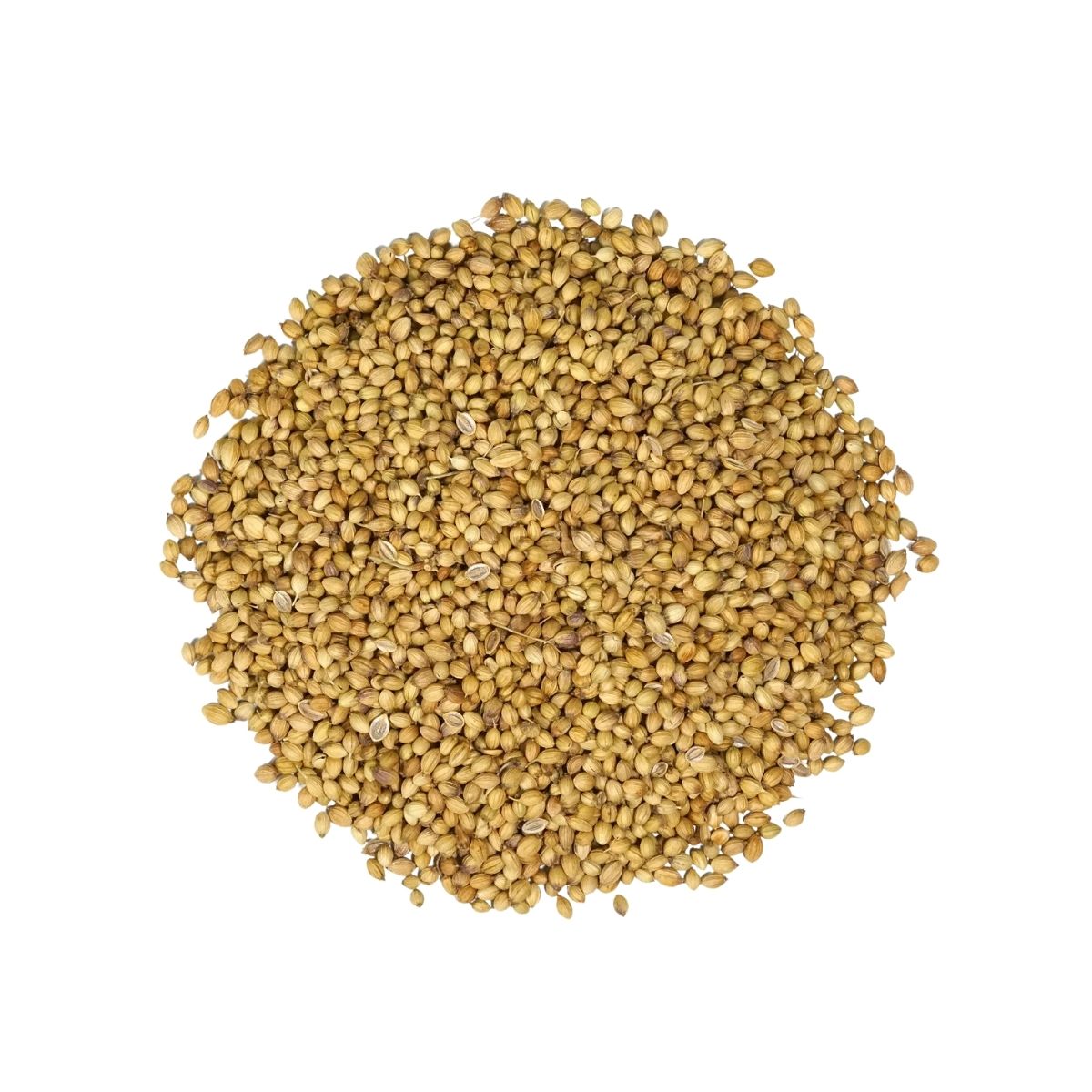 Coriander Seeds | 1 Kg