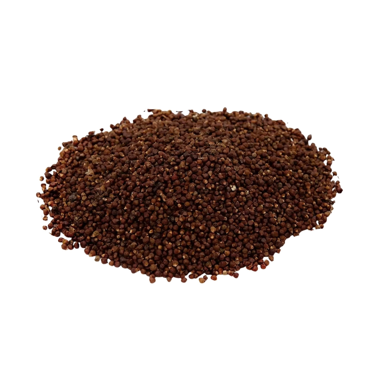 Grains of Paradise Seeds | 50 gm