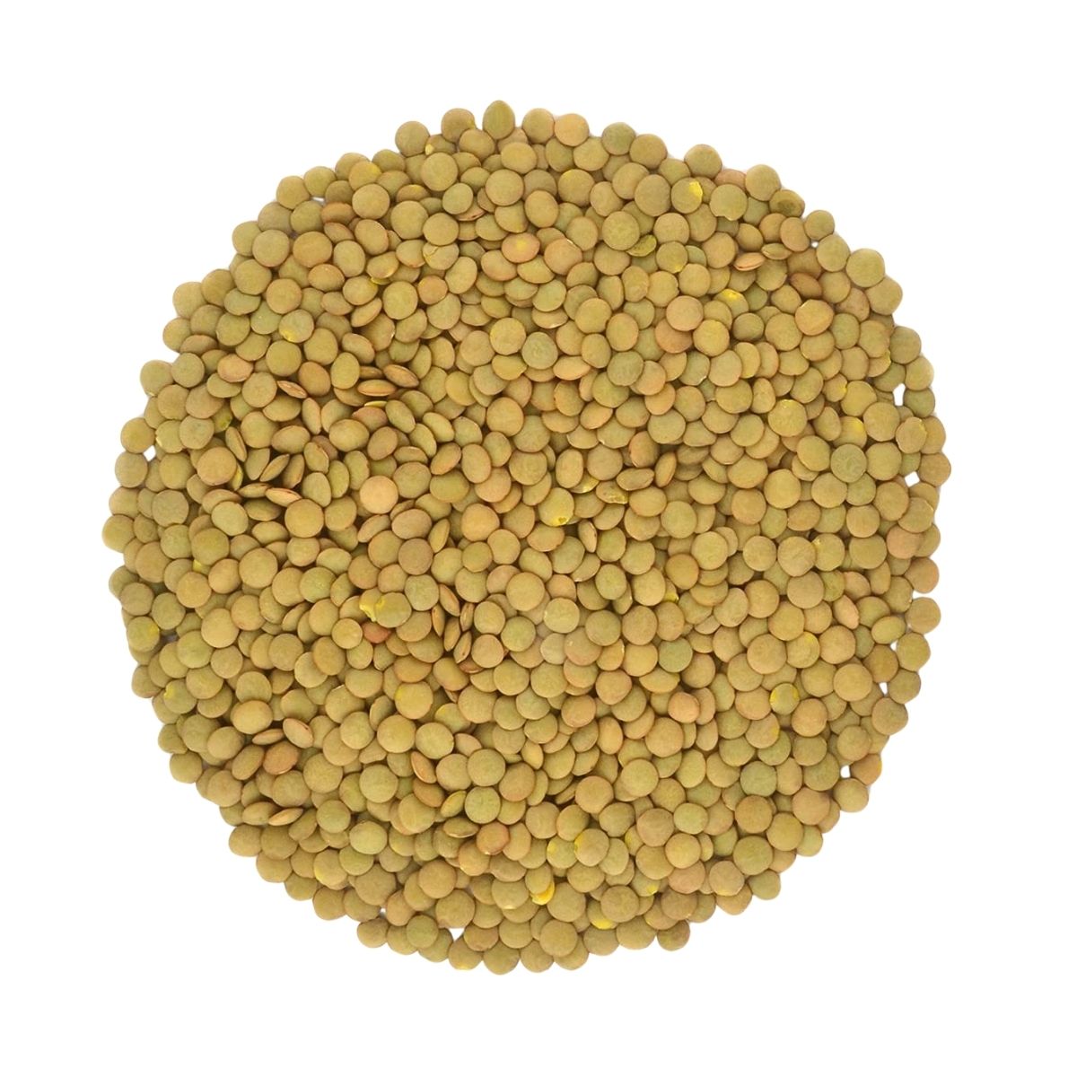 Green Lentils | 2 Kg