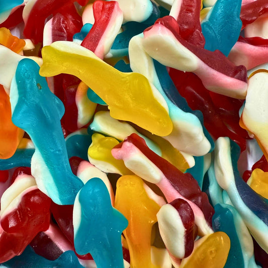 Jelly Dolphins | 12 Kg