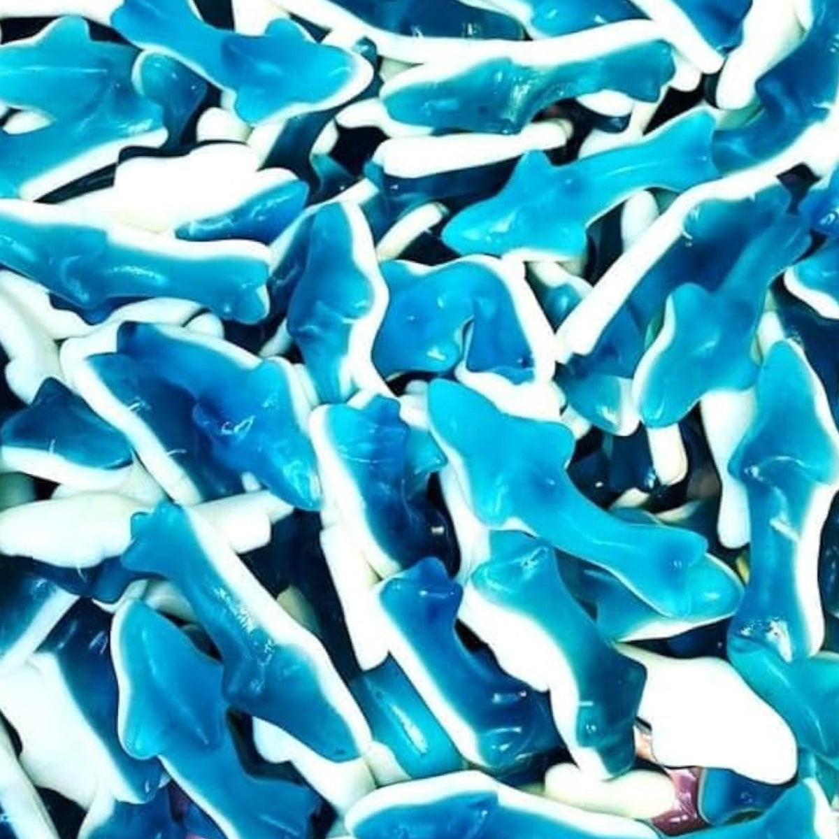 Jelly Sharks | 2 Kg