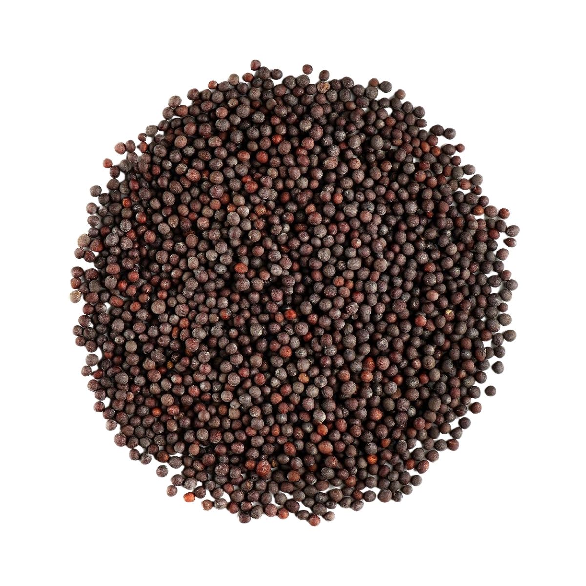 Mustard Seeds | 1 Kg