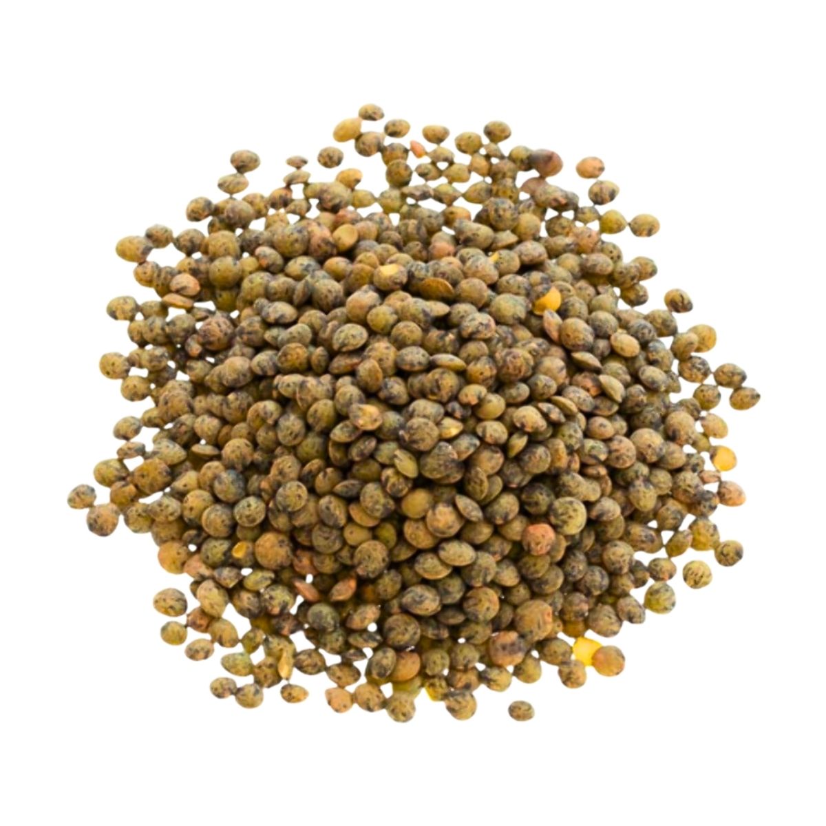 Puy Lentils | 10 Kg