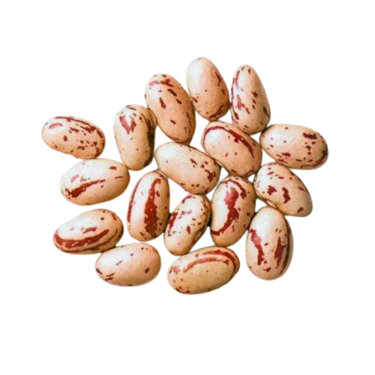 Rosecoco Beans | 10 kg