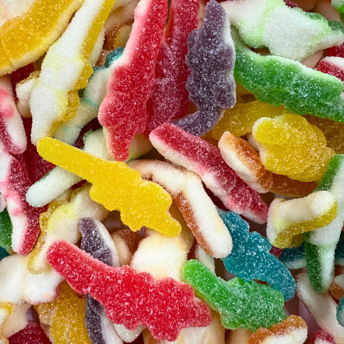 Sour Crocodile | 12 Kg