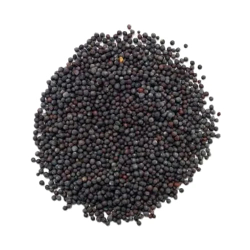 Mustard Seeds | 1 Kg